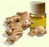 Sell Pure GINGER essential oil