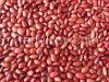 New Crop Dried Red Bean, Nature Agriculture Product Red Kidney Beans