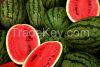 Round Fresh Watermelon For Sale