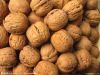 Walnut Export to China Customs Clearance Services
