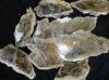 Sell Mica misacovite