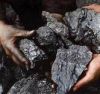 Sell Export Steam Coal | Steam Coal Suppliers | Steam Coal Exporters | Steam Coal Traders | Steam Coal Buyers | Steam Coal Wholesalers | Low Price Steam Coal | Best Buy Steam Coal | Buy Steam Coal | Import Steam Coal