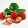 Sell fresh strawberry  fruit