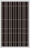 Sell 235W poly crystalline solar panels