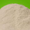 Sell pure Brewers yeast (feed grade)