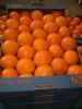 Sell Orange Klimentines