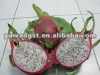 Sell dragon fruit