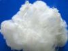 Sell polyester fibre