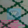 Sell razor barbed wire mesh