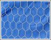 Hexagonal Wire Netting