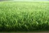Sell artificial grass