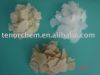 Sell Magnesium Chloride Mgcl2. 6H2O  46% Min Flakes
