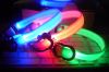 Sell 2012 hot selling led dog collar