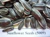 Sell sunflower  seeds