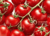 Sell Lycopene