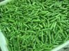 Sell frozen green beans