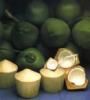 Sell young green coconut water in shell