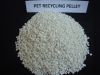 PET recycling pellet