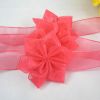 Sell Organza Ribbon bow for gift package