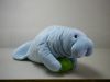 Sell plush manatee toy, pet plush, OEM item.