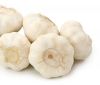 Sell Fresh Garlic/ White Garlic