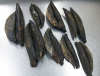 WE EXPORT MALDIVIAN DRIED FISH