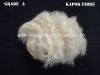 Kapok Fibre