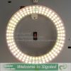 Sell led circular tube