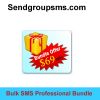 Sell (Bulk SMS Professional Bundle )