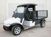 Sell electric UTV