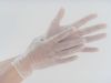 Sell powdered and powde-free disposable PVC glove