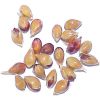  Maize | Maize Exporter | Corn Grain Seller | Maize Buyer | Bulk Maize Grain Importer | Corn bean Buyer | Corn bean Wholesaler | Corn Grain Manufacturer | Best Quality Corn Grain | Cheap Maize Supplier | Low Price Corn | Yellow Corn | White Cron | Baby Ma