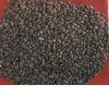 Sell Palm Kernel Seed