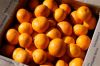 Mandarin Oranges