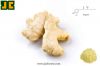 Sell Ginger P.E./ Extract Powder