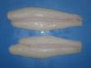 Sell Basa while fillet, well-trimmed with glazing from Viet Nam