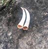 QUALITY OX COW AND BUFFALO HORNS FOR SALE