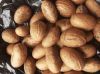 Bitter Kola Nuts/Garnicia Nuts