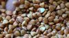 Buckwheat Seeds