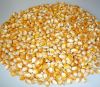  Maize | Maize Exporter | Corn Grain Seller | Maize Buyer | Bulk Maize Grain Importer | Corn bean Buyer | Corn bean Wholesaler | Corn Grain Manufacturer | Best Quality Corn Grain | Cheap Maize Supplier | Low Price Corn | Yellow Corn | White Cron | Baby Ma