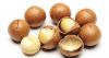 Organic Macadamia Nuts/ Macadamia Nuts