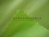 Sell 380T nylon taffeta green fabric for dress