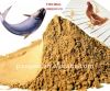 Hot Sell Fish Meal 60% & 65%