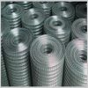 Sell SS and Galvanized Welded Wire Mesh