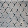 Sell best quality Chain Link Fence at competitive price