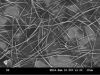 Sell silver nanowire