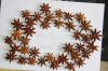 Sell star anise in autumn crop