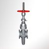 Sell parallel slide API gate valve