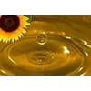 Export Refined Sunflower Oil | Pure Sunflower Oil Suppliers | Crude Sunflower Oil Exporters | Refined Sunflower Oil Traders | Raw Sunflower Oil Buyers | Pure Sunflower Oil Wholesalers | Low Price Sunflower Oil | Best Buy Sunflower Oil | Buy Sunflower Oil 