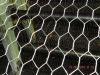 Sell Chicken Wire Mesh